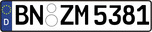 BN-ZM5381