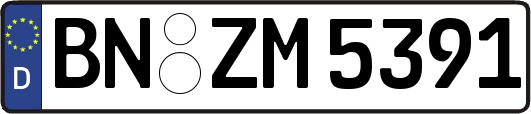 BN-ZM5391
