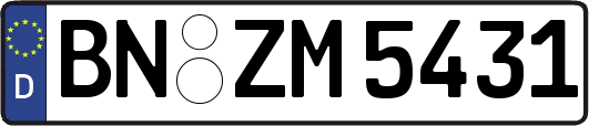 BN-ZM5431