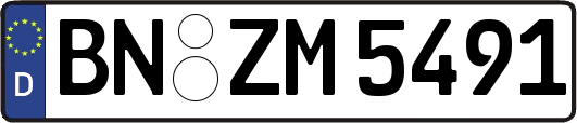 BN-ZM5491