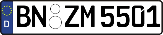 BN-ZM5501