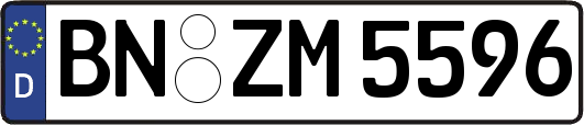 BN-ZM5596