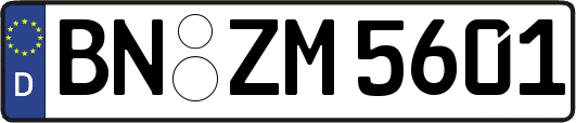 BN-ZM5601
