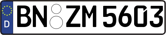 BN-ZM5603