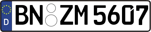 BN-ZM5607