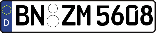 BN-ZM5608