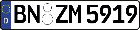 BN-ZM5919