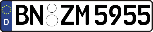 BN-ZM5955