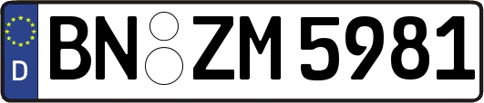 BN-ZM5981