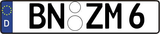 BN-ZM6