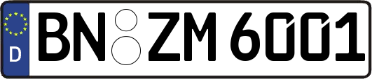 BN-ZM6001