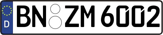 BN-ZM6002