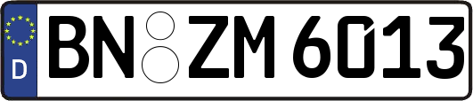 BN-ZM6013