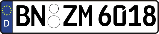 BN-ZM6018