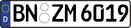 BN-ZM6019