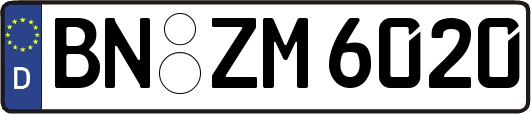 BN-ZM6020