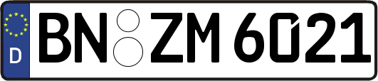 BN-ZM6021