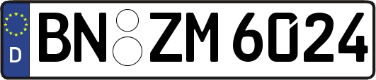 BN-ZM6024