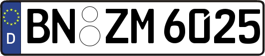 BN-ZM6025