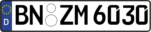 BN-ZM6030