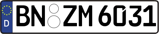 BN-ZM6031