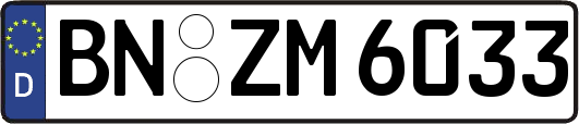 BN-ZM6033