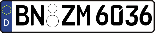 BN-ZM6036