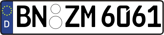 BN-ZM6061