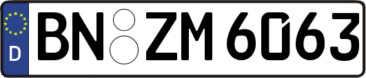 BN-ZM6063