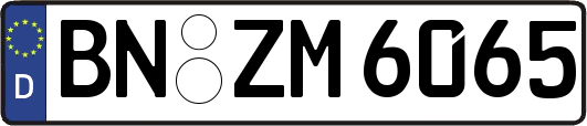 BN-ZM6065