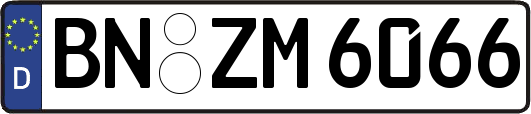 BN-ZM6066