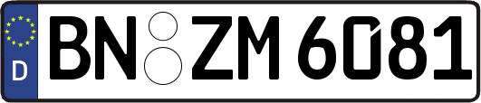 BN-ZM6081