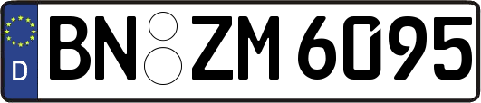 BN-ZM6095