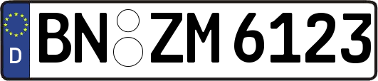 BN-ZM6123