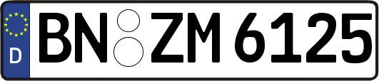 BN-ZM6125
