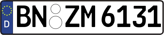 BN-ZM6131