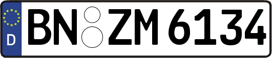 BN-ZM6134