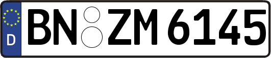 BN-ZM6145