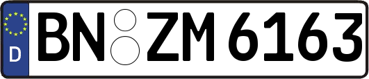 BN-ZM6163