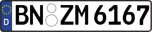 BN-ZM6167