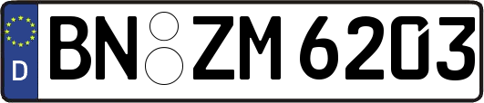 BN-ZM6203