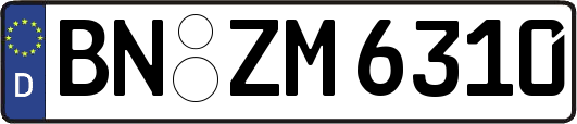 BN-ZM6310