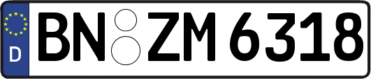 BN-ZM6318