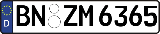 BN-ZM6365