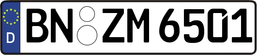 BN-ZM6501