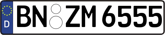 BN-ZM6555
