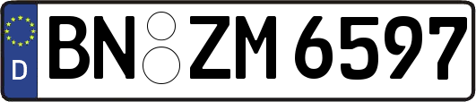 BN-ZM6597