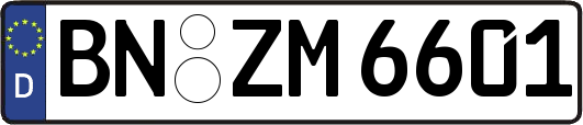 BN-ZM6601
