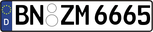 BN-ZM6665