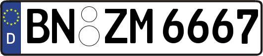 BN-ZM6667